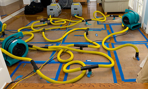 Professional Flood Damage Restoration technician working in University Center, MI