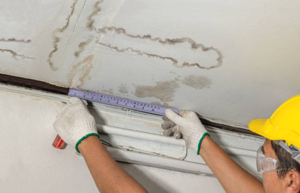 Affordable Water Damage Repair solutions in University Center, MI